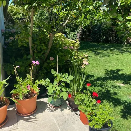 Toulousaine B&B Grisolles (Tarn-et-Garonne)
