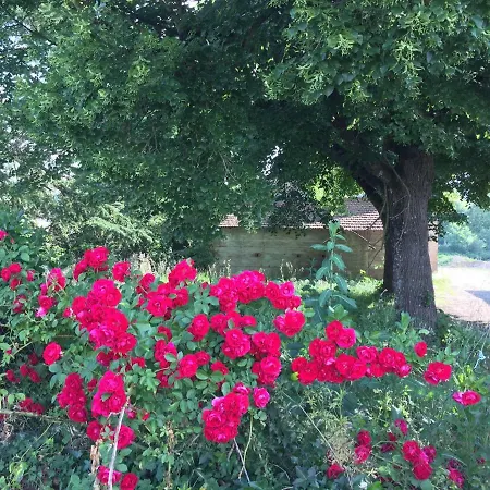 Toulousaine Bed and breakfast 4*