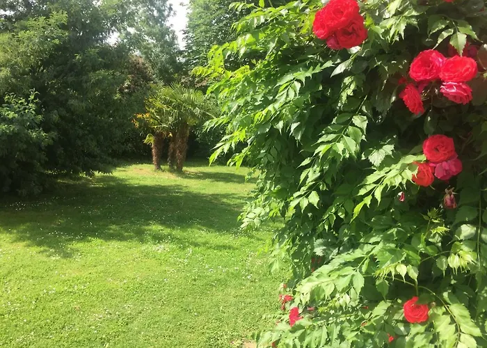 Toulousaine Grisolles (Tarn-et-Garonne)