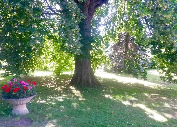 Bed & Breakfast Toulousaine Grisolles (Tarn-et-Garonne)