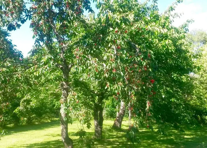 Bed & Breakfast Toulousaine 4*