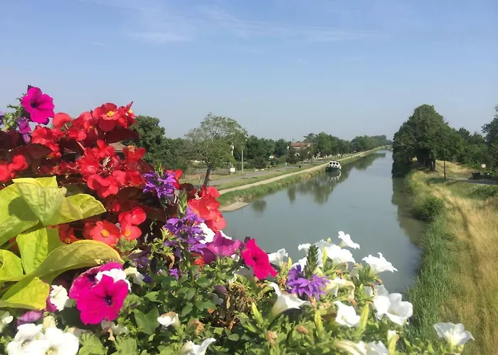 Toulousaine Bed & Breakfast 4*