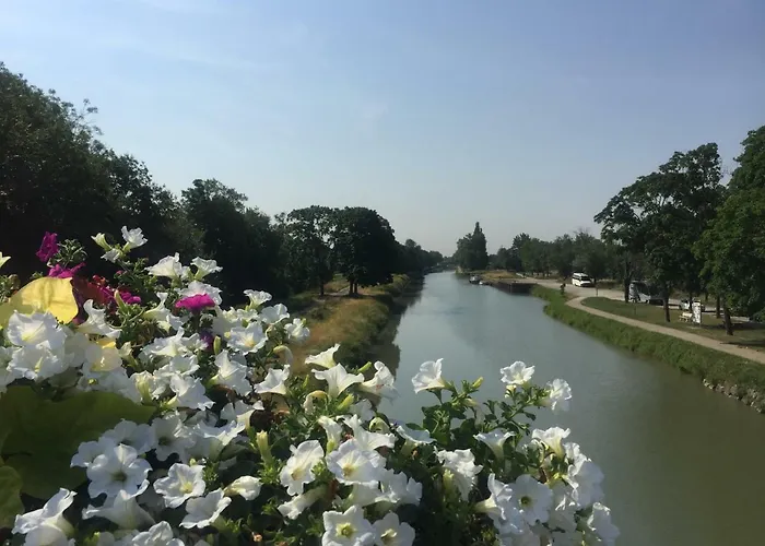 Bed & Breakfast Toulousaine 4*