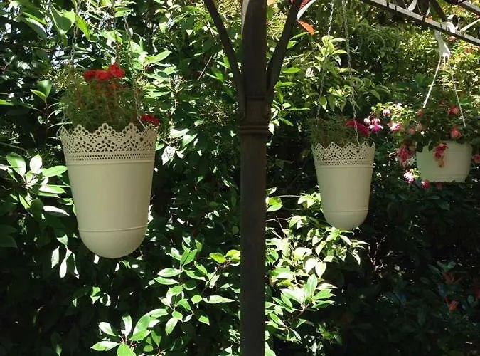 Bed & Breakfast Toulousaine Grisolles (Tarn-et-Garonne)