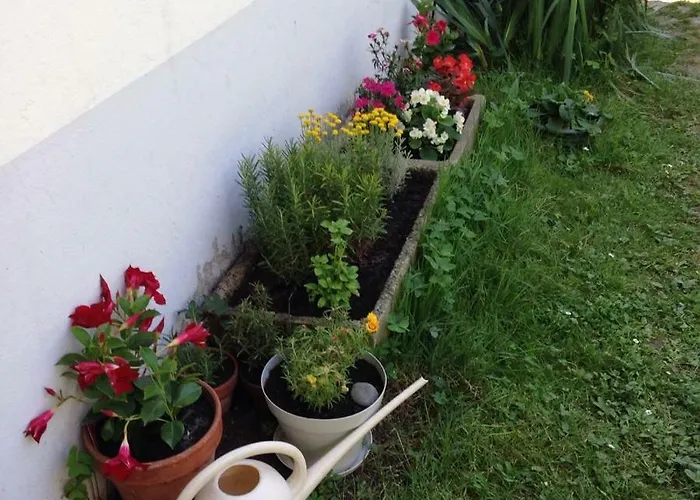 Toulousaine Grisolles (Tarn-et-Garonne)