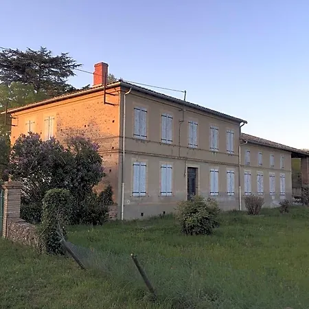 Toulousaine
