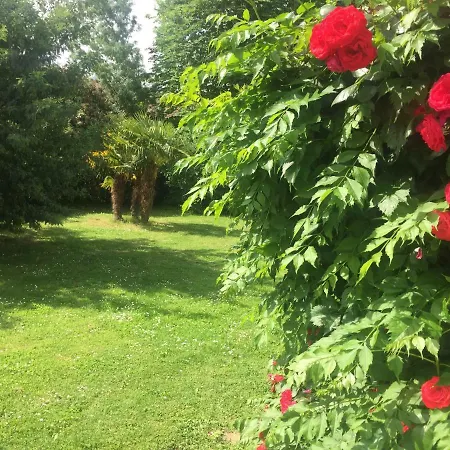 Toulousaine Grisolles (Tarn-et-Garonne)