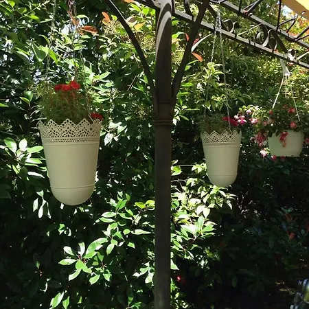 住宿加早餐酒店 Toulousaine Grisolles (Tarn-et-Garonne)