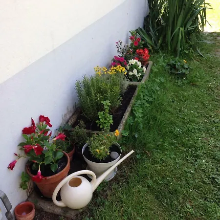 Toulousaine Grisolles (Tarn-et-Garonne)