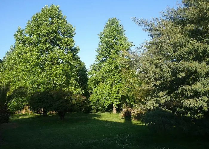 Bed & Breakfast Toulousaine 4*