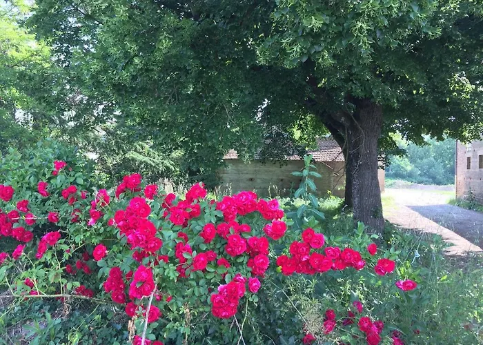 Toulousaine Bed & Breakfast 4*